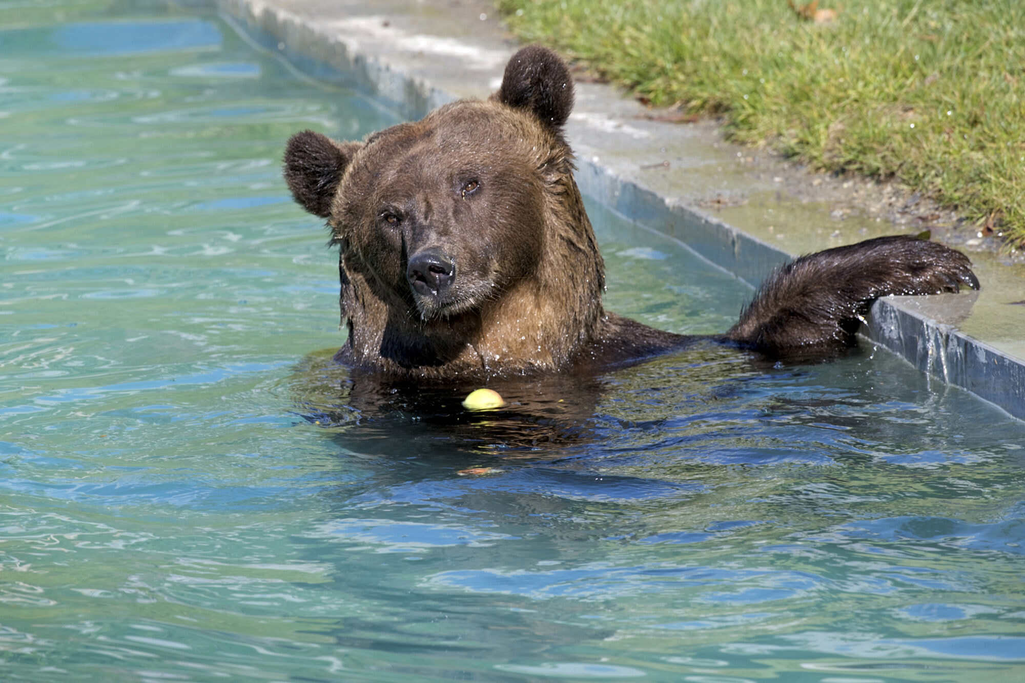 005-BP-BernTourismus-Schneeberger